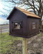 Little free library located in a wetland. 