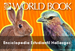 WORLD BOOK - ENCICLOPEDIA ESTUDIANTIL HALLAZGOS