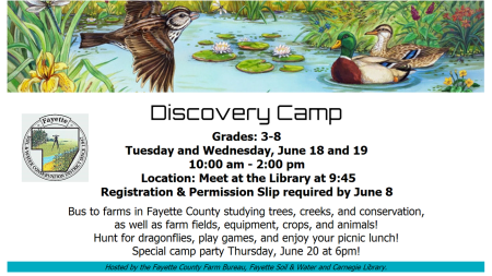 Discovery Camp