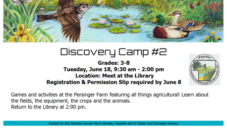 Discovery Camp