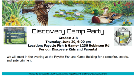 Discovery Camp Party