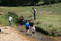 Creek Fun